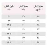 کفش باراوسل و باله MN Studio - Image 2