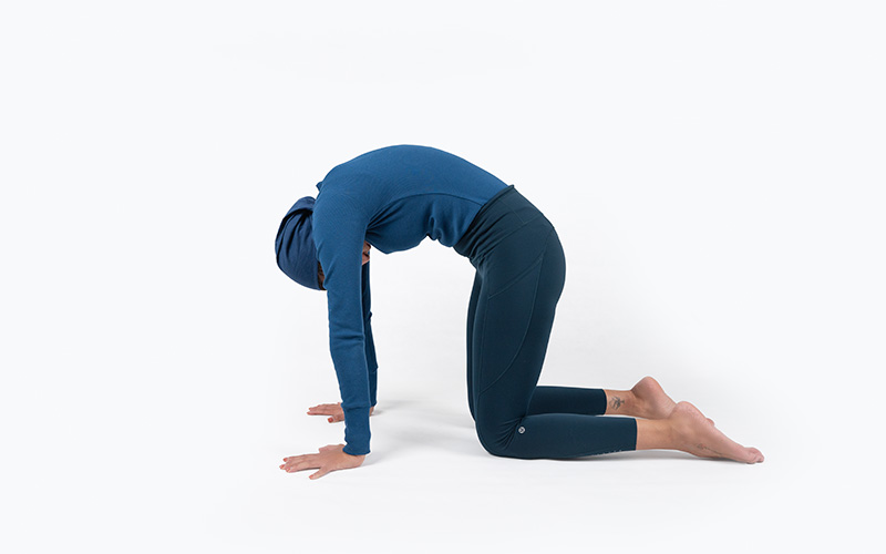 حرکت گربه - گاو Marjariasana)